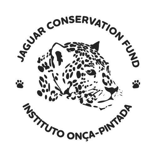 iop_logotipo iop_logotipo